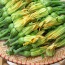 Bí nụ bao tử tươi, an toàn
